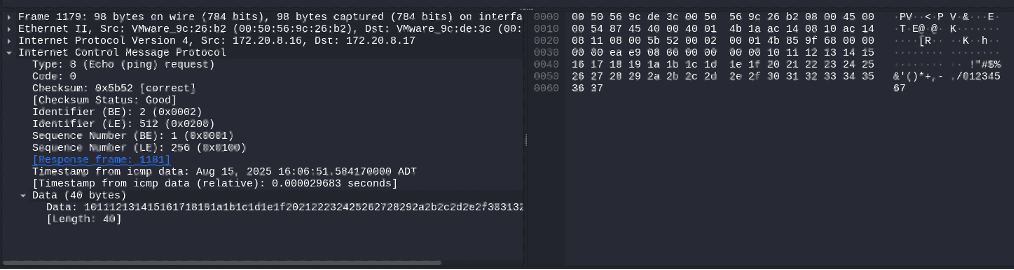 A typical ICMP request with padding in its Data section